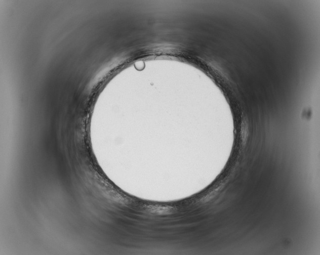 X0000114231309200911201101