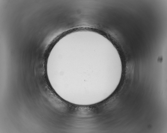 X0000114231310200911201101