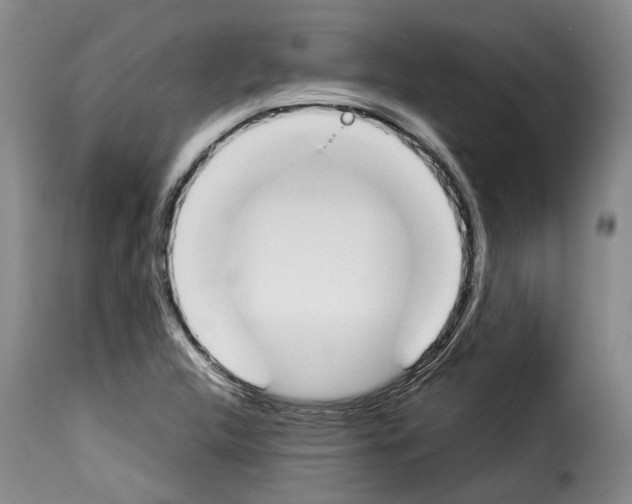 X0000114231312200911201101