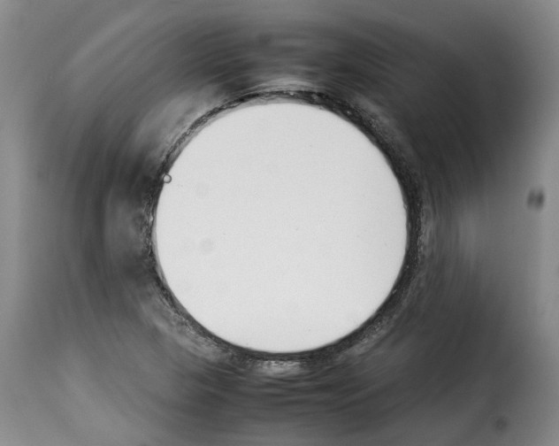 X0000114231313200911201101