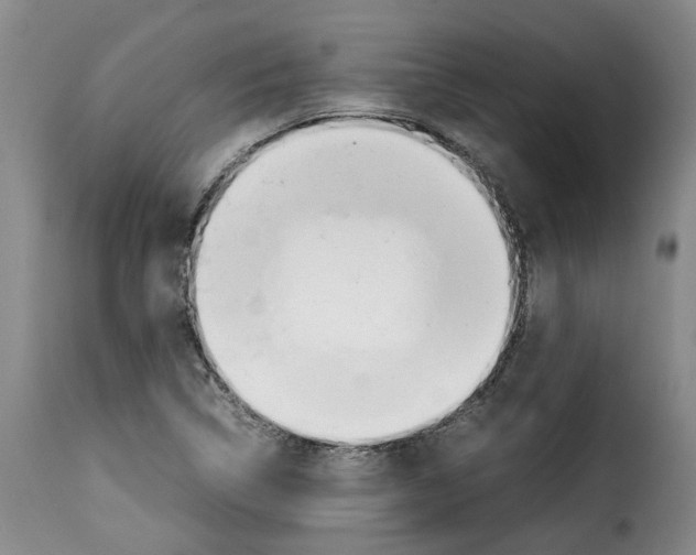 X0000114231314200911201101