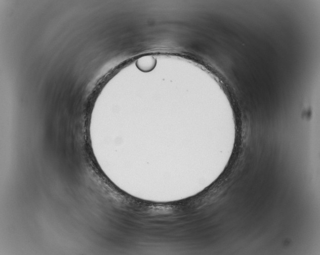 X0000114231315200911201101