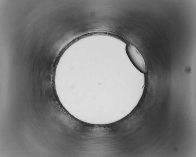 X0000114231316200911201101