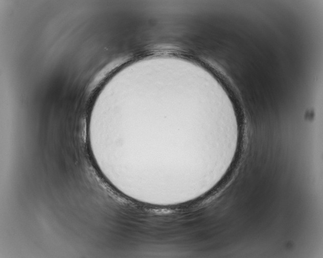 X0000114231317200911201101