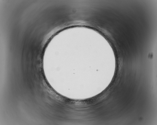 X0000114231318200911201101