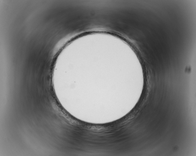 X0000114231319200911201101