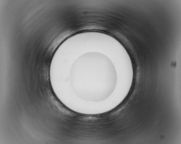 X0000114231321200911201101