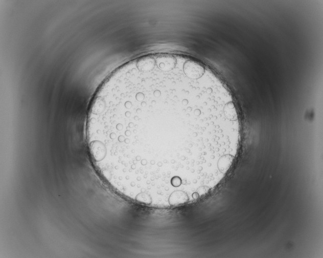 X0000114231322200911201101