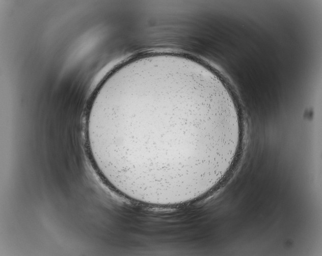 X0000114231325200911201101