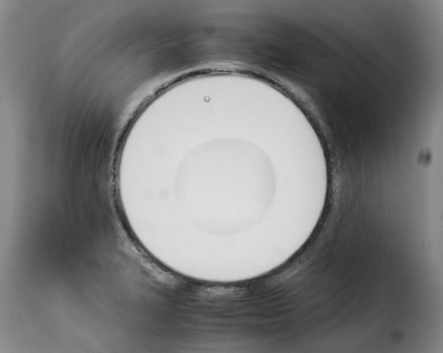 X0000114231327200911201101