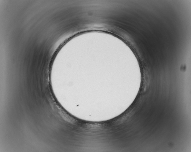 X0000114231328200911201101