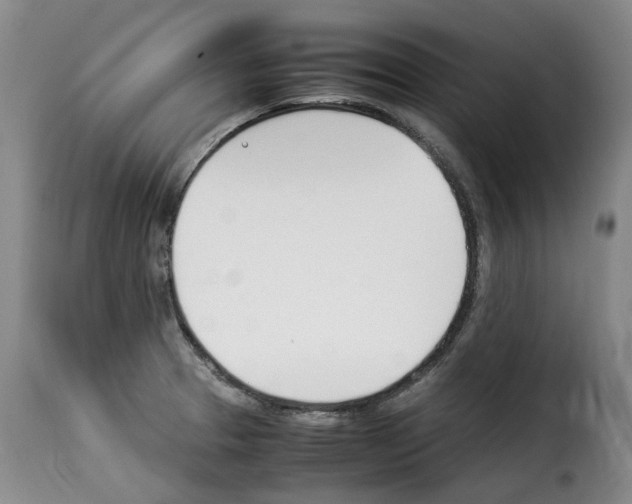 X0000114231329200911201101