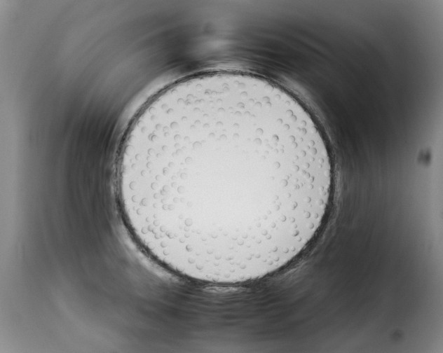 X0000114231331200911201101