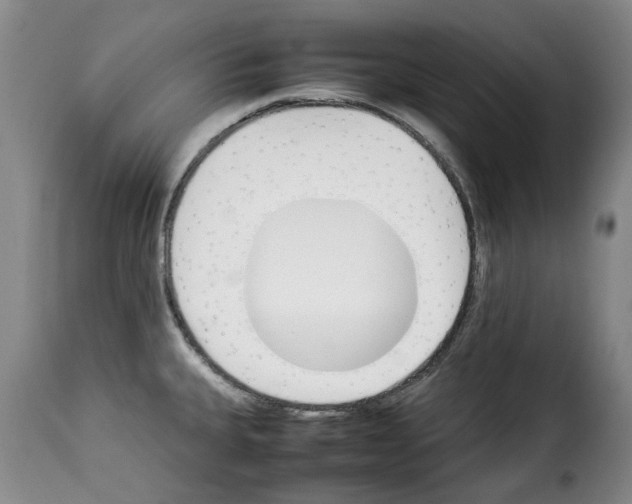 X0000114231335200911201101