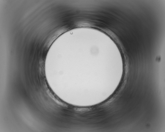 X0000114231337200911201101