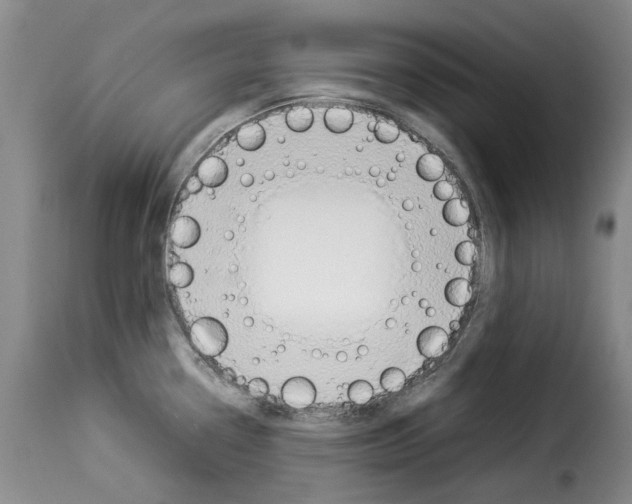X0000114231338200911201101