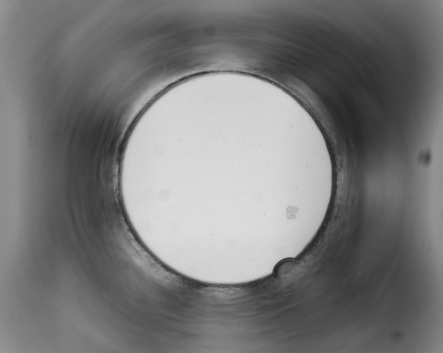 X0000114231340200911201101