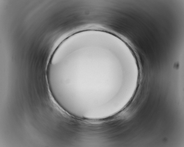 X0000114231342200911201101