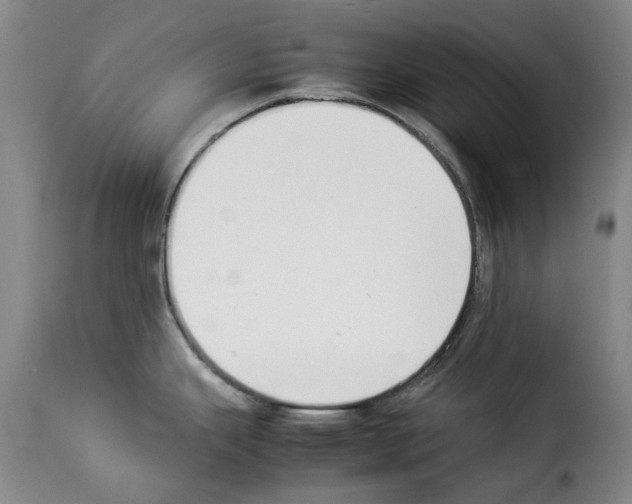 X0000114231343200911201101