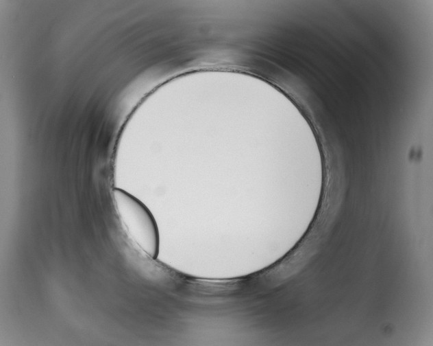 X0000114231344200911201101