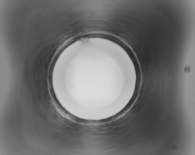X0000114231345200911201100