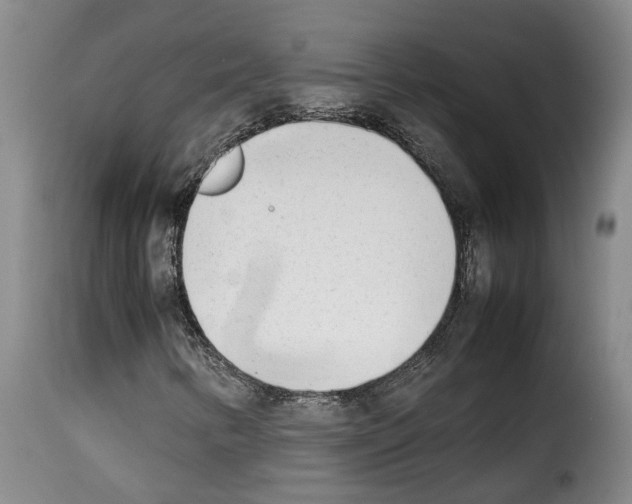 X0000114231346200911201100