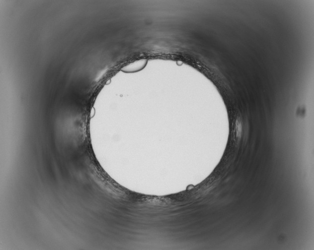 X0000114231348200911201100