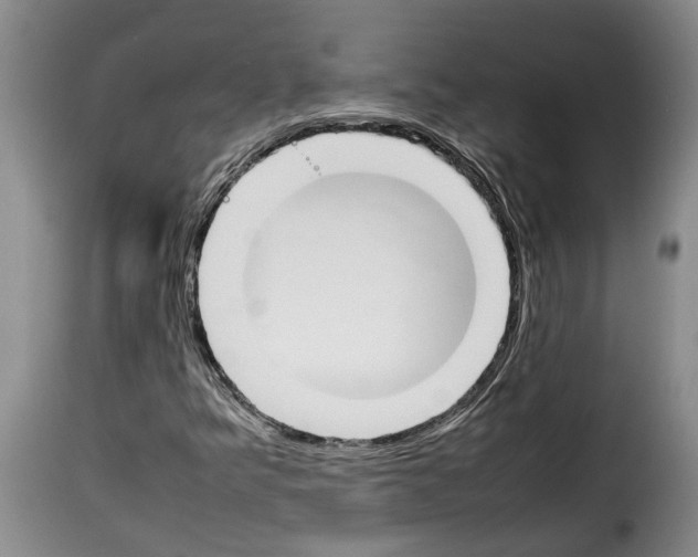 X0000114231349200911201100