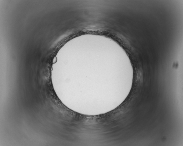 X0000114231350200911201100
