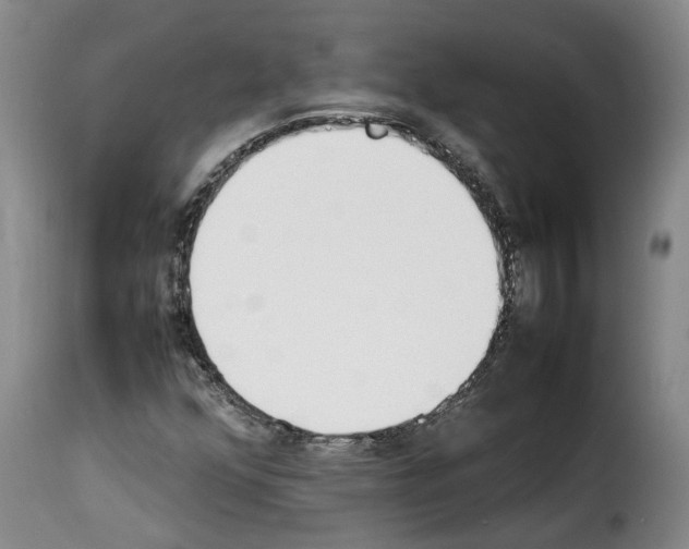 X0000114231352200911201100