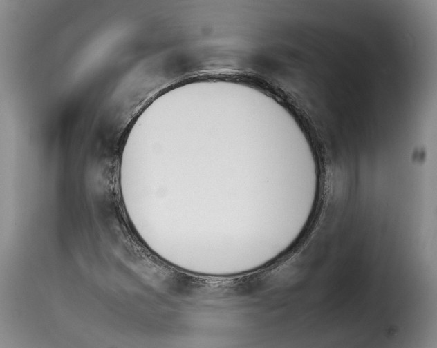 X0000114231353200911201100