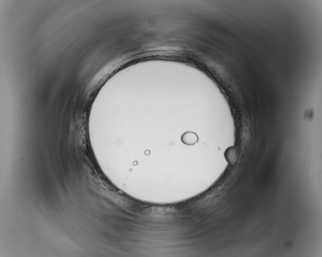 X0000114231354200911201100