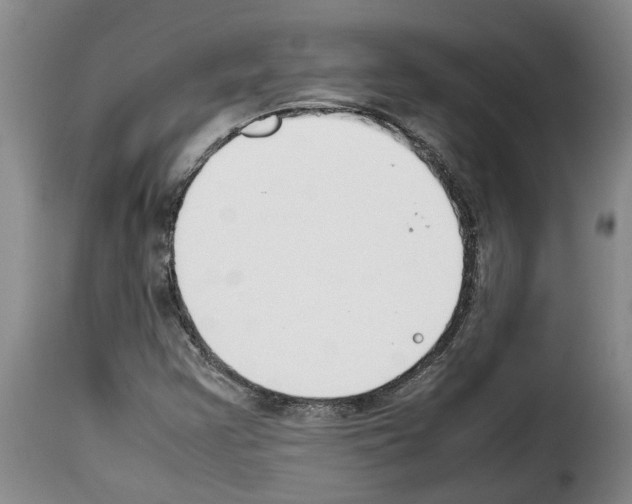 X0000114231355200911201100