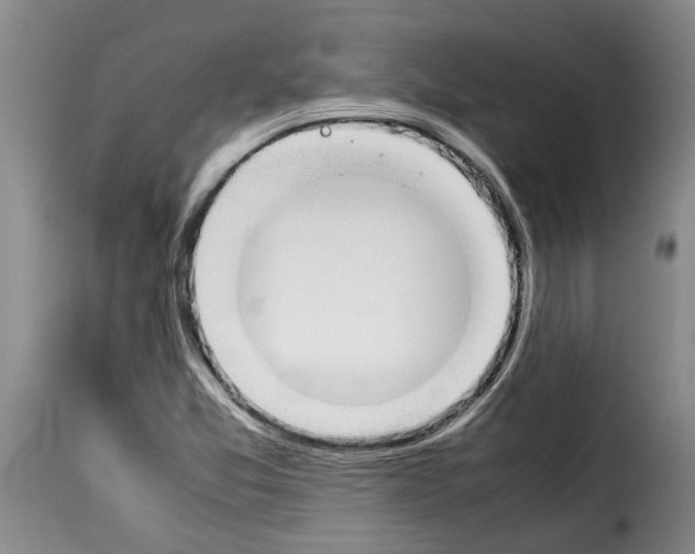 X0000114231357200911201100