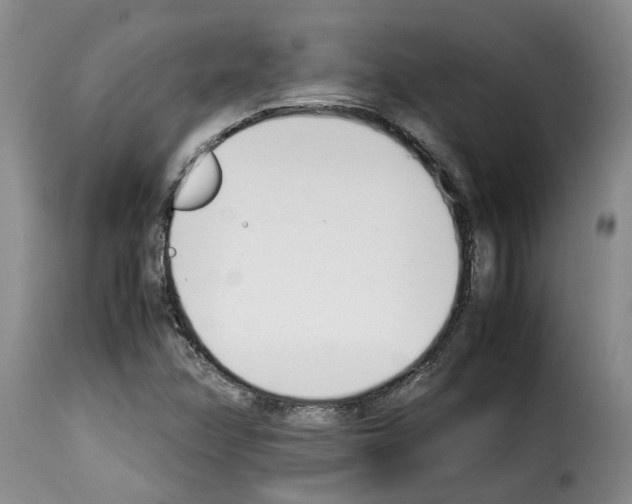X0000114231358200911201100
