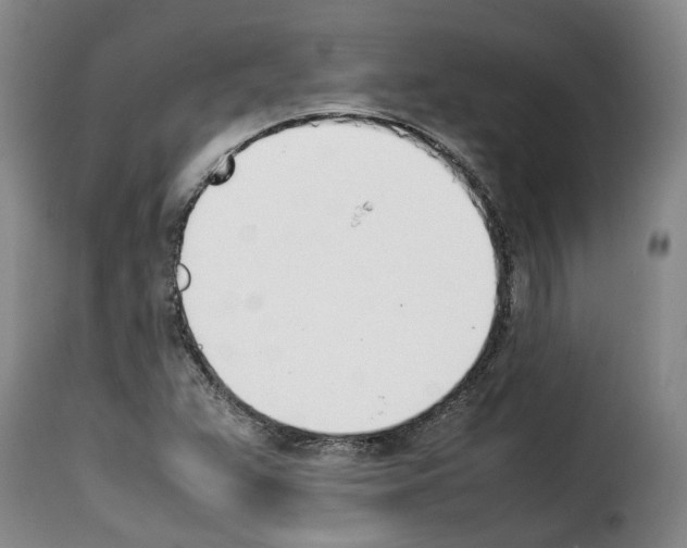 X0000114231359200911201100