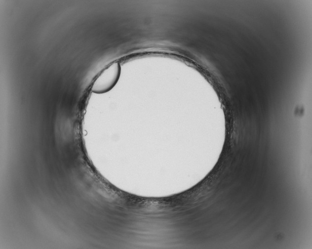 X0000114231360200911201100
