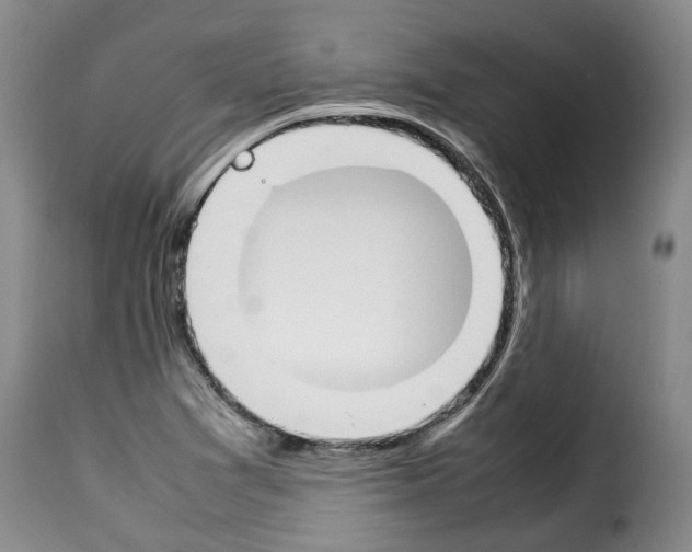 X0000114231361200911201100