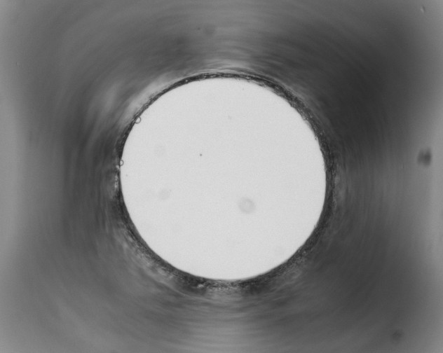 X0000114231363200911201100