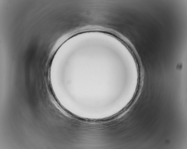 X0000114231365200911201100