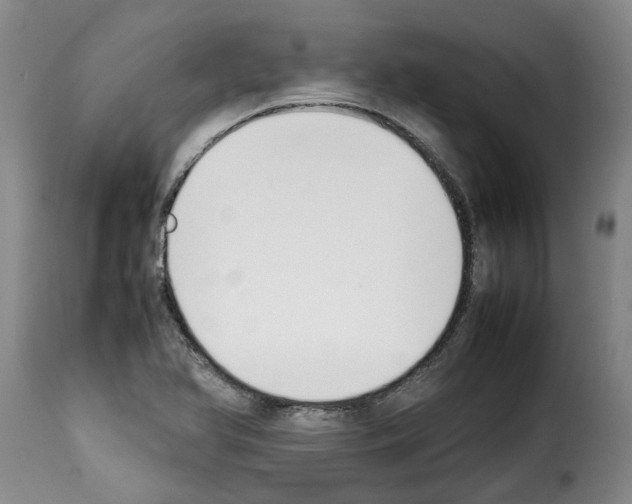 X0000114231366200911201100