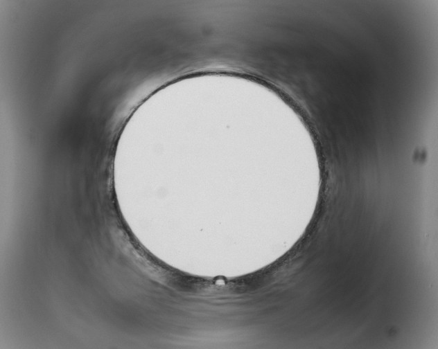 X0000114231367200911201100