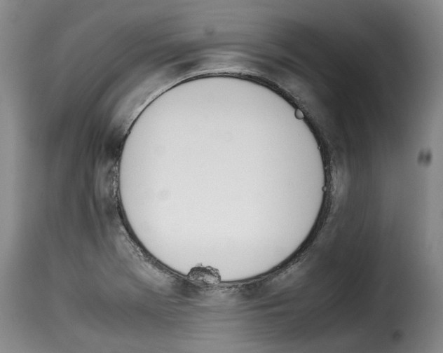 X0000114231369200911201100