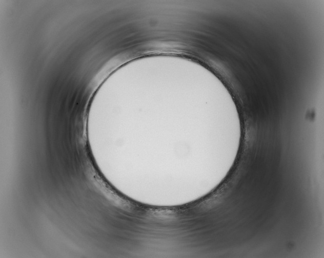 X0000114231370200911201100