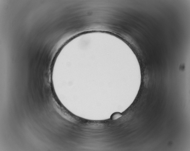 X0000114231372200911201100