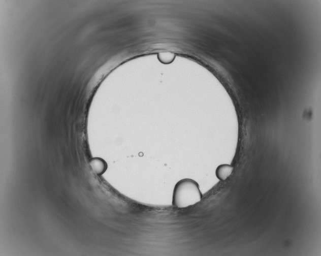 X0000114231373200911201100