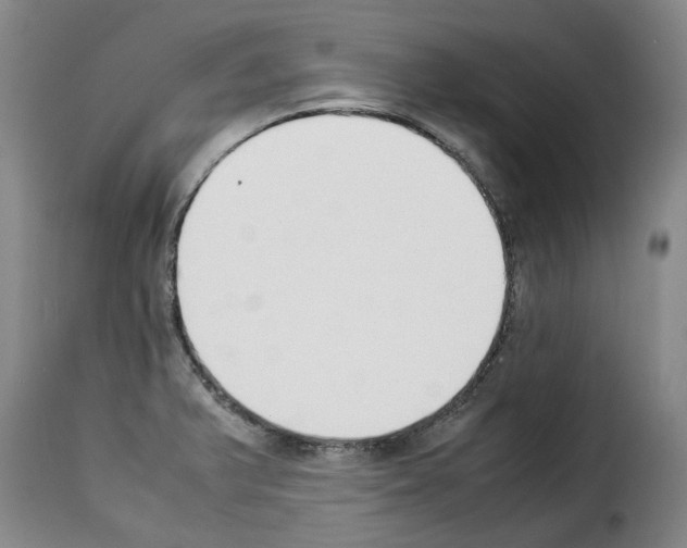 X0000114231375200911201100