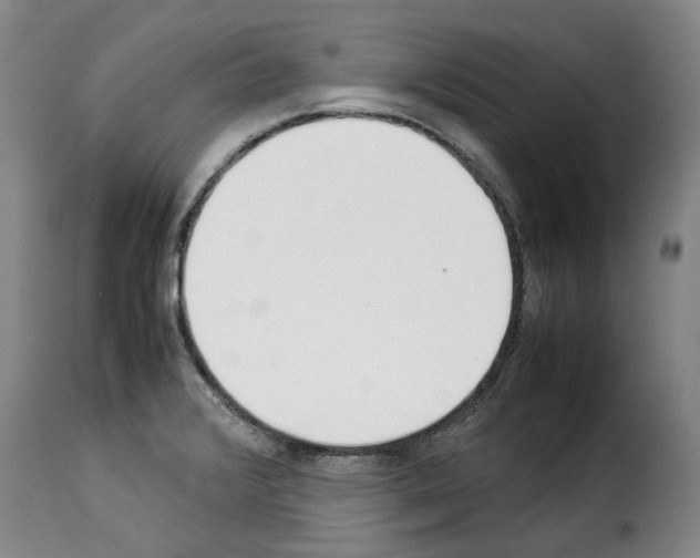 X0000114231376200911201100