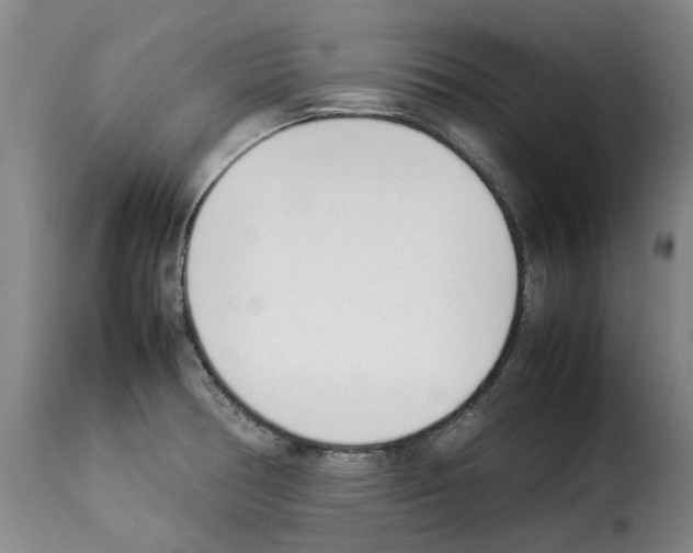 X0000114231378200911201100