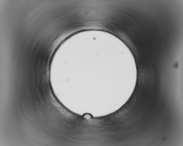 X0000114231380200911201100